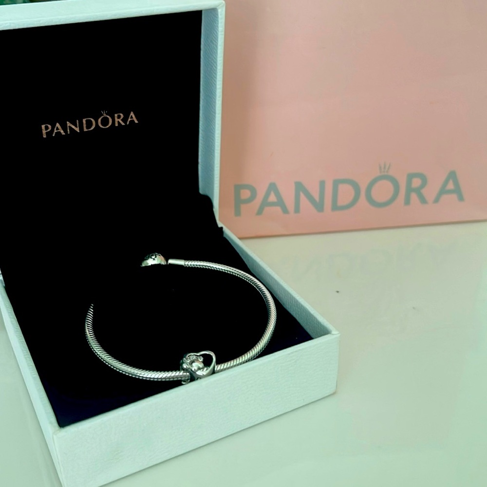 Pandora charm bracelet.